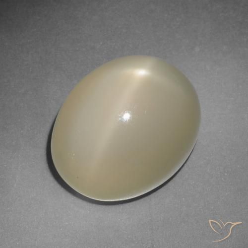 Pietra di luna stellata naturale giallo da 12,22 ct, taglio ovale, traslucido