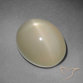 Pietra di luna stellata naturale giallo da 12,22 ct, taglio ovale, traslucido