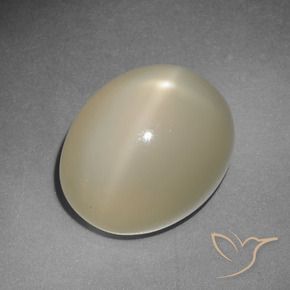 Pietra di luna stellata naturale giallo da 12,22 ct, taglio ovale, traslucido