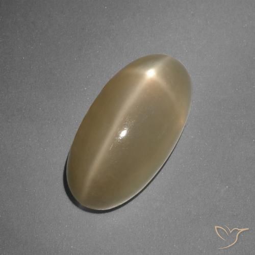7.96ct Naturale Arancio medio-scuro Pietra di luna stellata, Ovale, Traslucido