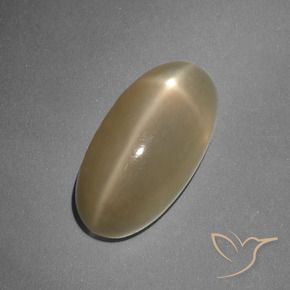 Pietra di luna stellata Arancio medio-scuro naturale da 7.96 ct, Ovale, Traslucido