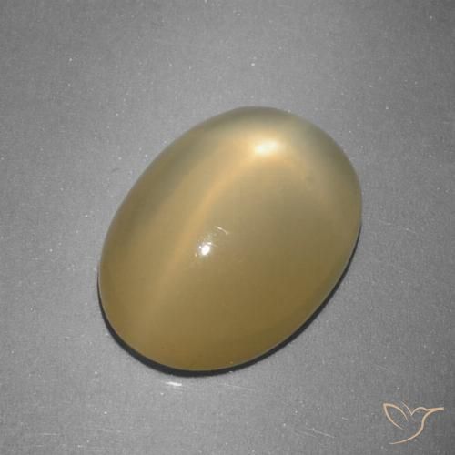 5.16ct Naturale Giallo di Digione Pietra di luna stellata, Ovale, Traslucido
