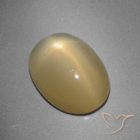 Pietra di luna stellata Giallo di Digione naturale da 5.16 ct, Ovale, Traslucido