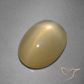 Pietra di luna stellata Giallo di Digione naturale da 5.16 ct, Ovale, Traslucido