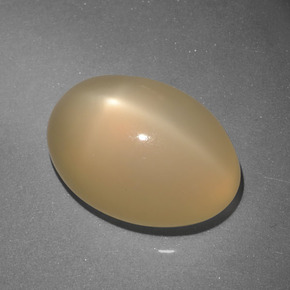Pietra di luna stellata Arancione Crema naturale da 7.37 ct, Taglio ovale, Traslucido