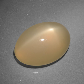Pietra di luna stellata Arancione Crema naturale da 7.37 ct, Taglio ovale, Traslucido
