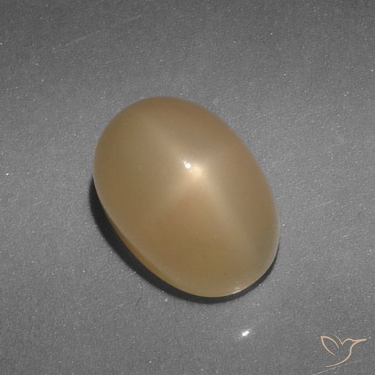 Pietra di luna stellata Oro naturale da 5.21 ct, Taglio ovale, Traslucido