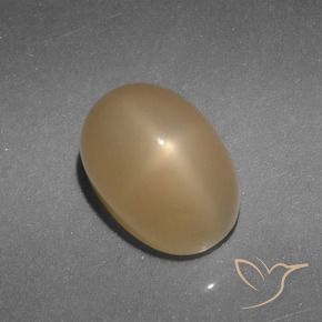 Pietra di luna stellata Oro naturale da 5.21 ct, Taglio ovale, Traslucido
