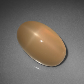 Pietra di luna stellata naturale arancione da 6,85 ct, taglio ovale, traslucido
