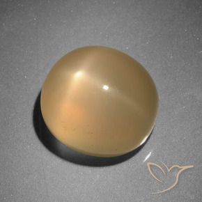 Pietra di luna stellata Arancio Medio naturale da 6.73 ct, Ovale, Traslucido