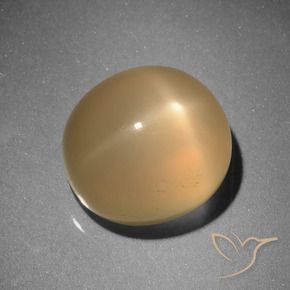 Pietra di luna stellata Arancio Medio naturale da 6.73 ct, Ovale, Traslucido