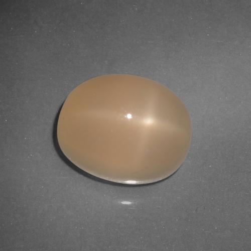 Pietra di luna stellata Arancio Medio naturale da 6.21 ct, Taglio ovale, Traslucido