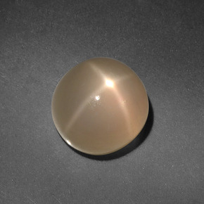 Pietra di luna stellata naturale crema da 4,98 ct, taglio rotondo, traslucido