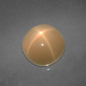 Pietra di luna stellata naturale crema da 4,57 ct, taglio rotondo, traslucido
