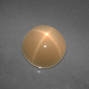 Pietra di luna stellata naturale crema da 4,57 ct, taglio rotondo, traslucido