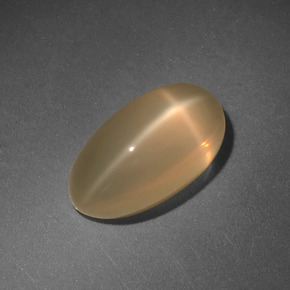 Pietra di luna stellata naturale crema da 4,71 ct, taglio ovale, traslucido