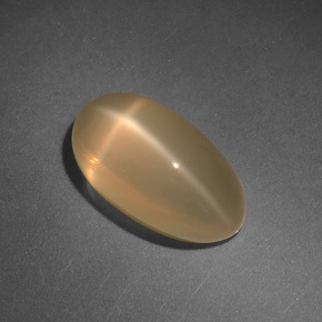 Pietra di luna stellata naturale crema da 4,71 ct, taglio ovale, traslucido