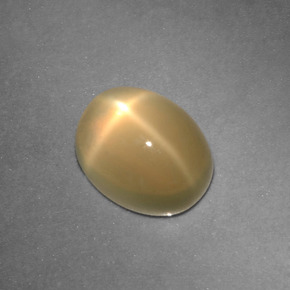 Pietra di luna stellata naturale crema da 2,73 ct, taglio ovale, traslucido