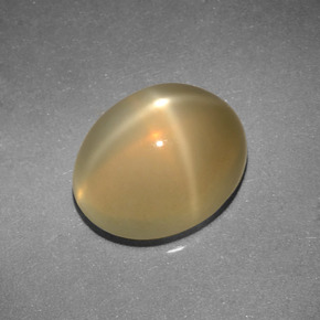 Pietra di luna stellata Color crema naturale da 3.04 ct, Taglio ovale, Traslucido
