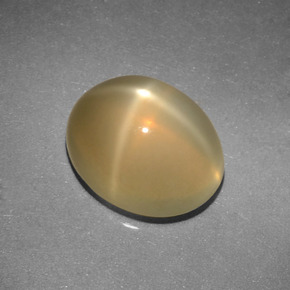 Pietra di luna stellata Color crema naturale da 3.04 ct, Taglio ovale, Traslucido