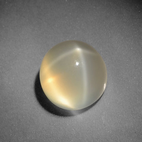 Pietra di luna stellata Color crema naturale da 3.00 ct, Taglio rotondo, Traslucido