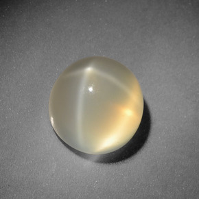 Pietra di luna stellata Color crema naturale da 3.00 ct, Taglio rotondo, Traslucido