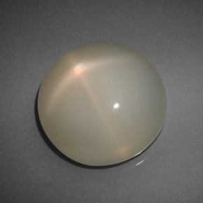 Pietra di luna stellata Color crema naturale da 26.14 ct, Taglio rotondo, Traslucido