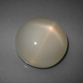 Pietra di luna stellata Color crema naturale da 26.14 ct, Taglio rotondo, Traslucido