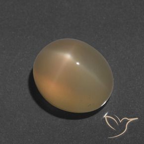 Pietra di luna stellata Dorato pesca chiaro naturale da 9.66 ct, Ovale, Traslucido