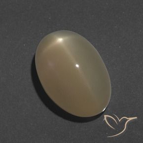 Pietra di luna stellata Arancio medio-scuro naturale da 9.46 ct, Ovale, Traslucido