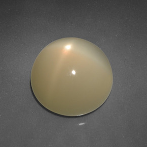 Pietra di luna stellata Giallo chiaro naturale da 6.83 ct, Taglio rotondo, Traslucido