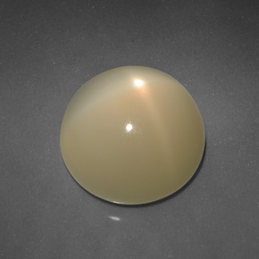 Pietra di luna stellata Giallo chiaro naturale da 6.83 ct, Taglio rotondo, Traslucido