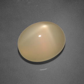 Pietra di luna stellata Dorato naturale da 6.65 ct, Taglio ovale, Traslucido