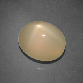 Pietra di luna stellata Dorato naturale da 6.65 ct, Taglio ovale, Traslucido