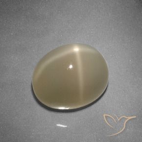 Pietra di luna stellata Arancio medio-scuro naturale da 5.32 ct, Ovale, Traslucido