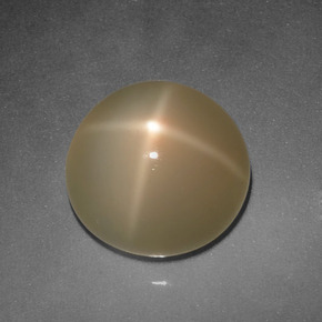 Pietra di luna stellata Color crema naturale da 5.94 ct, Taglio rotondo, Traslucido