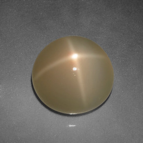 Pietra di luna stellata Color crema naturale da 5.94 ct, Taglio rotondo, Traslucido