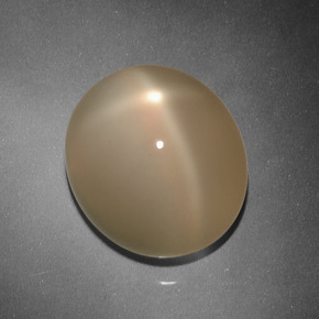 Pietra di luna stellata Cantalupo Arancia naturale da 14.47 ct, Taglio ovale, Traslucido