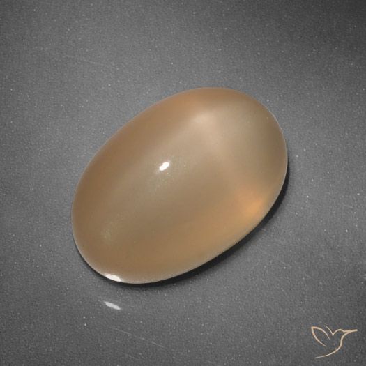 5.37ct Naturale Arancio Medio Pietra di luna stellata, Ovale, Traslucido, Photo A