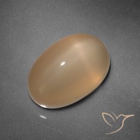 Pietra di luna stellata Arancio Medio naturale da 5.37 ct, Ovale, Traslucido
