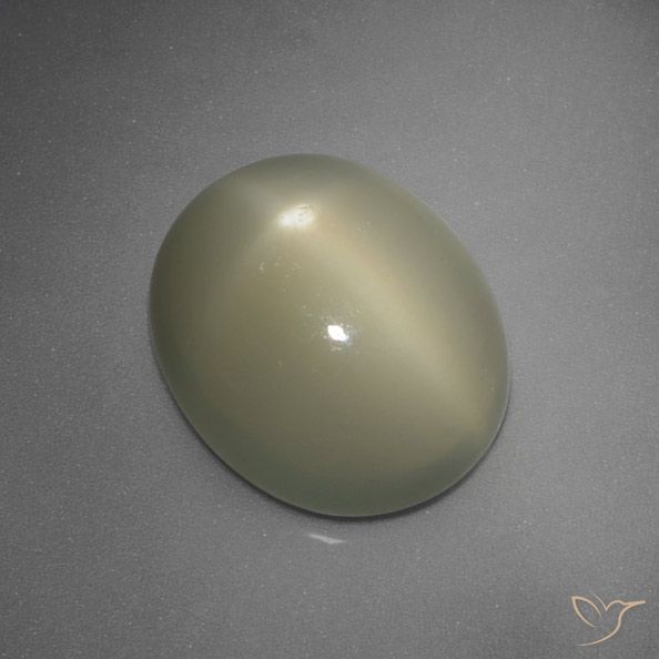 5.67ct Naturale Giallo-Grigio Medio Pietra di luna stellata, Ovale, Traslucido, Photo A