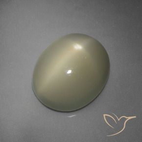 Pietra di luna stellata Giallo-Grigio Medio naturale da 5.67 ct, Ovale, Traslucido