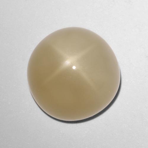 Pietra di luna stellata naturale marrone da 5,72 ct, taglio rotondo, traslucido