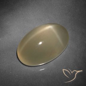 Pietra di luna stellata Tortilla Marrone Chiaro naturale da 9.25 ct, Ovale, Traslucido