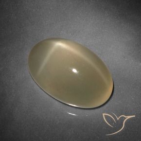 Pietra di luna stellata Tortilla Marrone Chiaro naturale da 9.25 ct, Ovale, Traslucido
