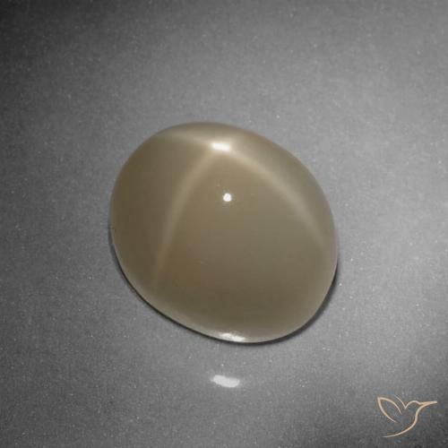 9.79ct Naturale Tortilla Marrone Chiaro Pietra di luna stellata, Ovale, Traslucido