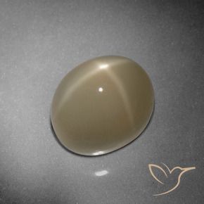 Pietra di luna stellata Tortilla Marrone Chiaro naturale da 9.79 ct, Ovale, Traslucido