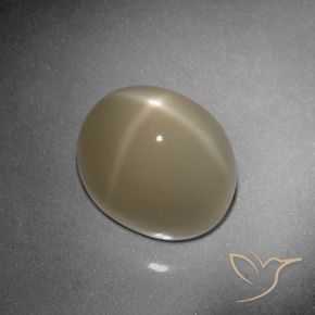 Pietra di luna stellata Tortilla Marrone Chiaro naturale da 9.79 ct, Ovale, Traslucido