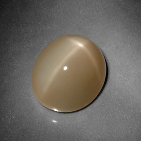 Pietra di luna stellata naturale arancione da 10,13 ct, taglio ovale, traslucido