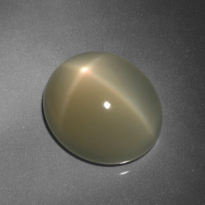 Pietra di luna stellata Marrone Caffè Chiaro naturale da 9.88 ct, Taglio ovale, Traslucido